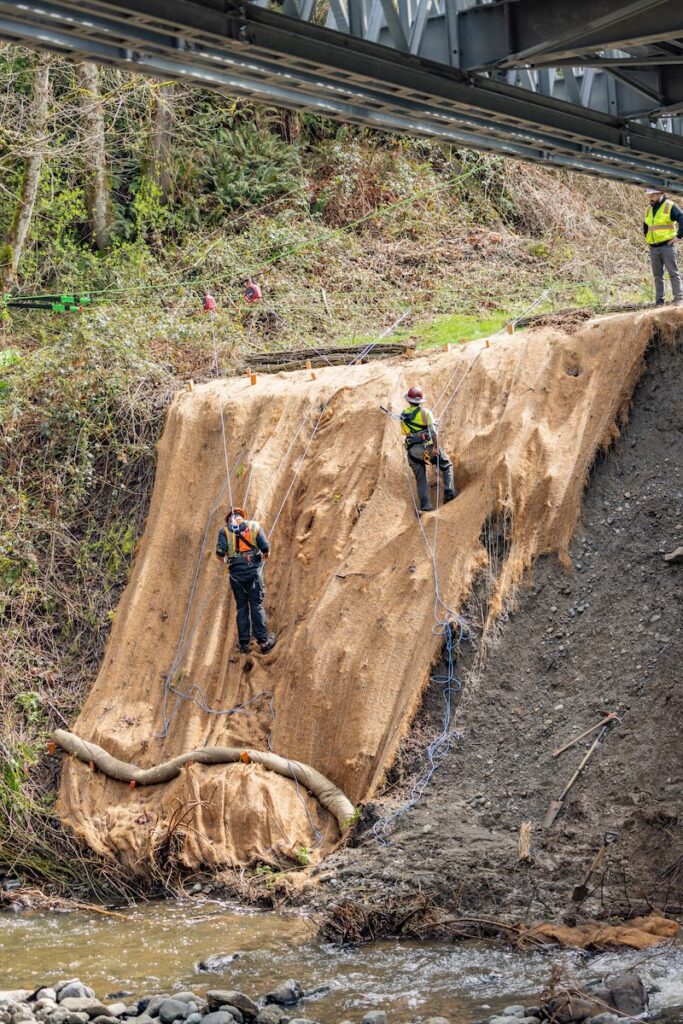 Two workers in safety gear descending a steep, burlap-covered riverbank with ropes under a bridge.