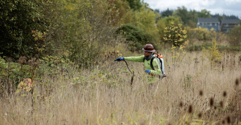 A worker in protective gear administering a weed control spray properly in an open tract area