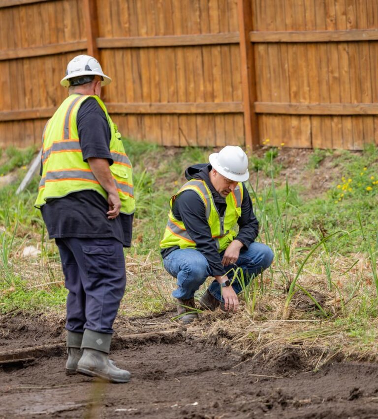 Two construction workers in hard hats and high-visibility vests inspecting soil and plants near a wooden fence.