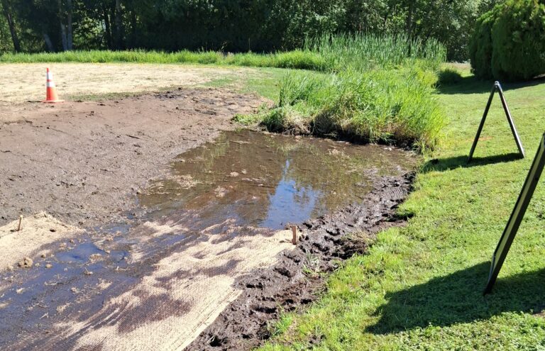 Muddy drained pond edge with standing puddle, erosion control matting, tall grass and an orange traffic cone in grassy park area