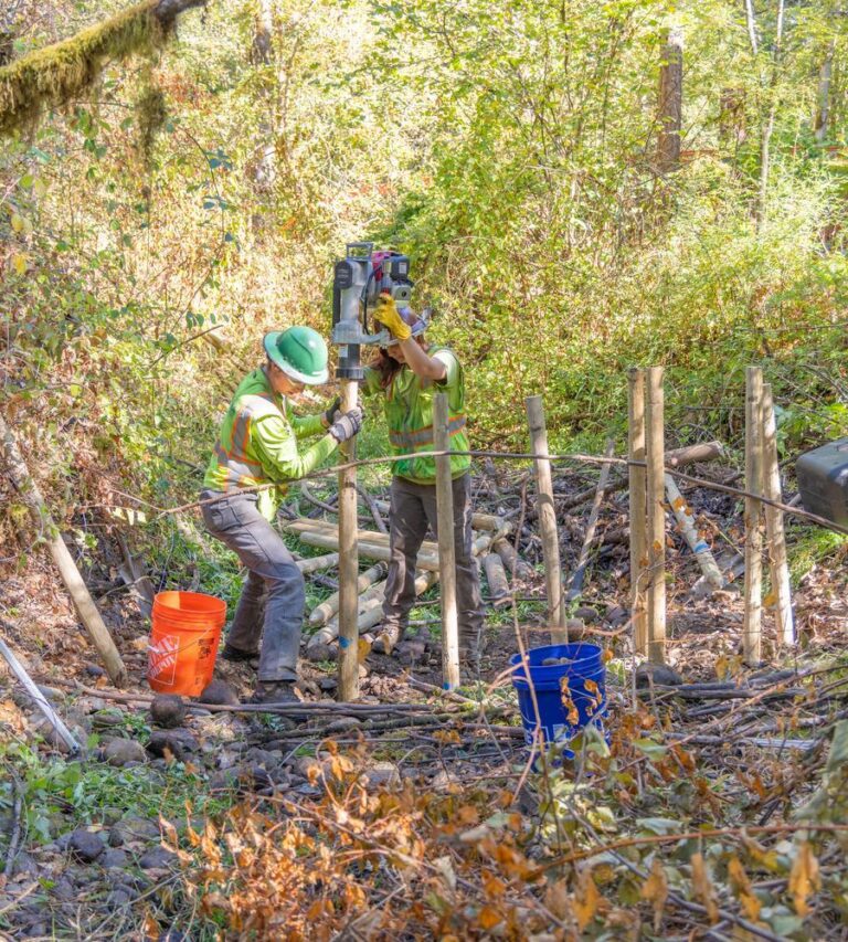 Two construction workers in green safety vests and helmets using a post driver to install wooden stakes in a wooded, leafy area with orange and blue buckets nearby.