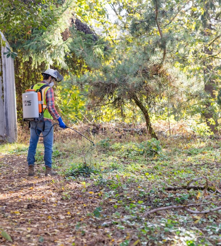 Worker in safety gear and backpack sprayer treating weeds in a sunlit woodland clearing near trees and undergrowth