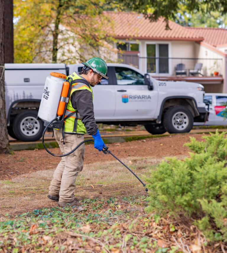 Worker in safety vest and green helmet spraying ground with backpack sprayer near company trucks and trees