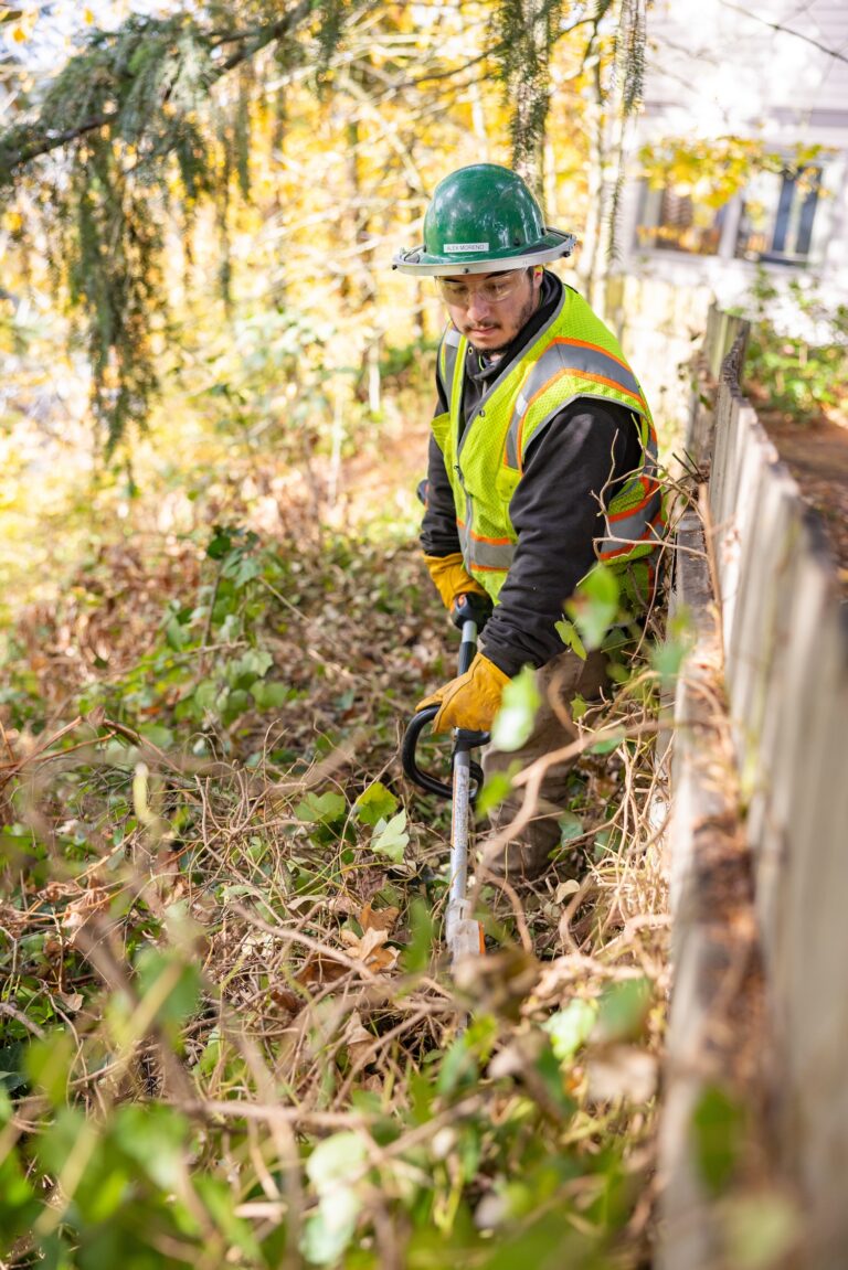 Worker in a green hard hat and high-visibility vest trimming overgrown brush along a wooden fence with a handheld trimmer