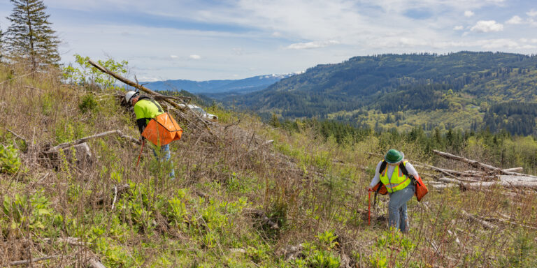 Two surveyors in high-visibility vests and helmets working on a grassy hillside with forested mountains in the background