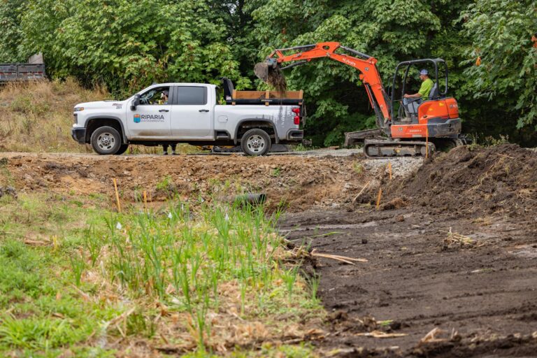 White Riparia Environmental pickup beside an orange mini excavator loading soil at a muddy construction site with trees behind