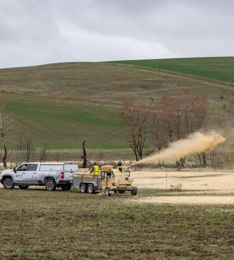 Pickup truck and trailer-mounted machine blowing straw across a field while two workers in safety vests stand nearby against rolling green hills under a gray sky.