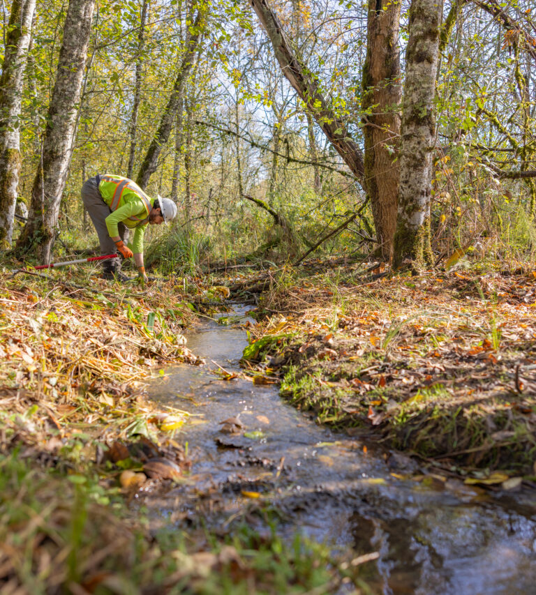 Worker in a hard hat and neon safety vest kneeling by a small forest stream, clearing vegetation with hand tools.