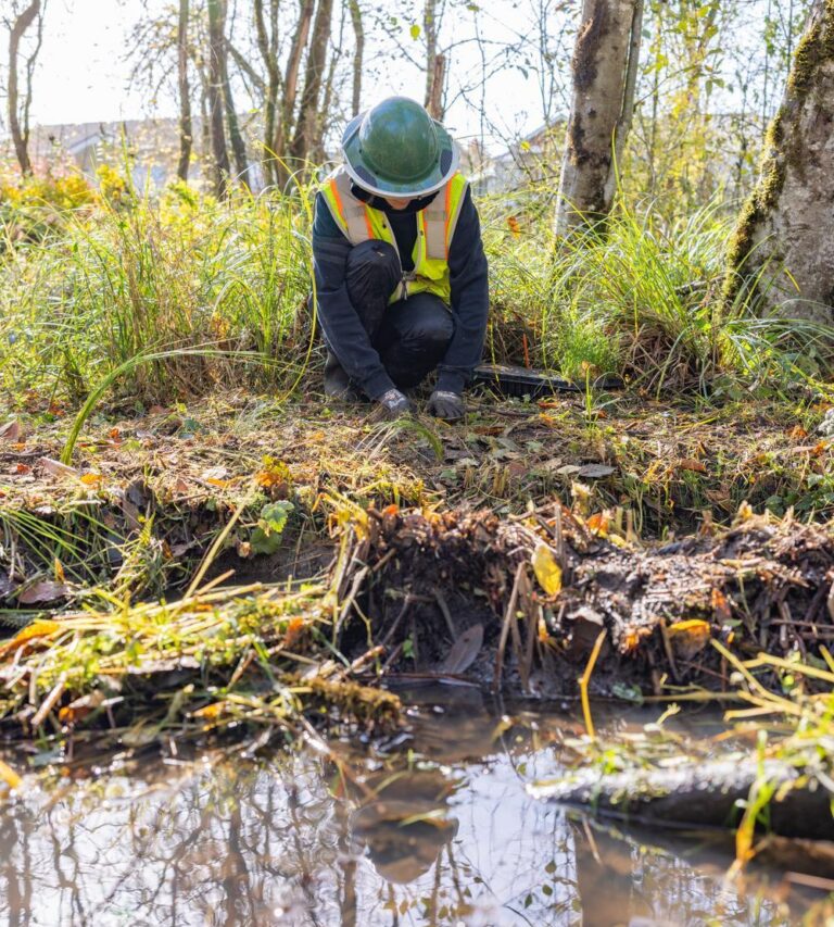 Worker wearing a green hard hat and high-visibility vest kneeling by a small forest stream, reflected in the water.