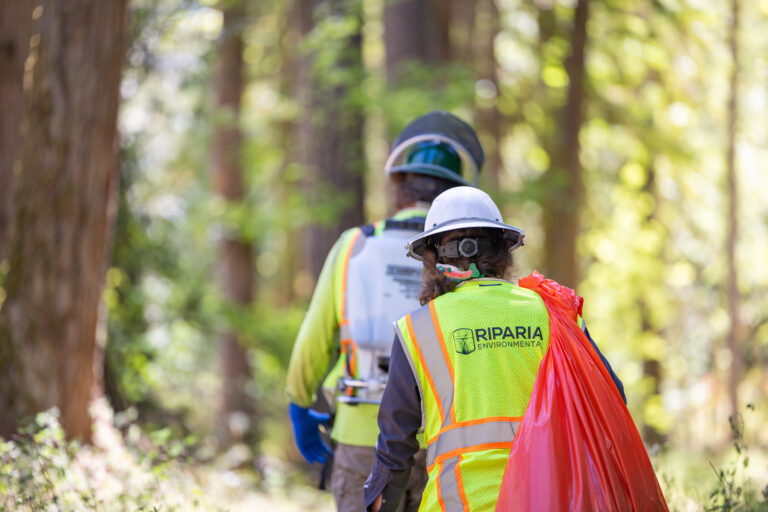 Two workers in safety vests and hard hats walking in a sunlit forest, one carrying a large red trash bag and a vest labeled "Riparia Environmental."