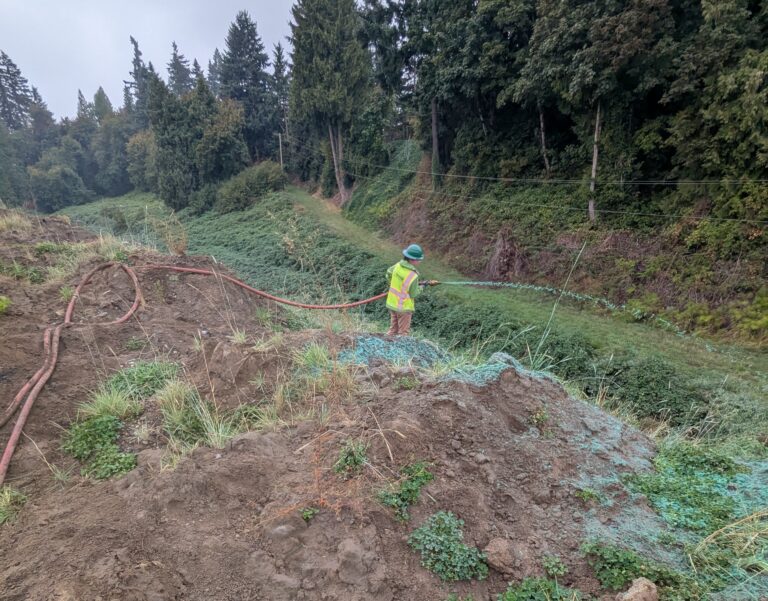 Worker in a hi-vis vest and green hard hat spraying green hydroseed mix down a grassy forested slope from a hose.