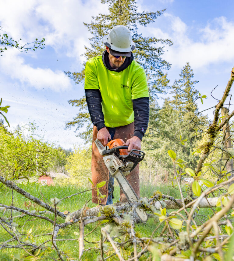 Man in a hard hat and neon shirt cutting fallen tree branches with a chainsaw in a sunny wooded yard