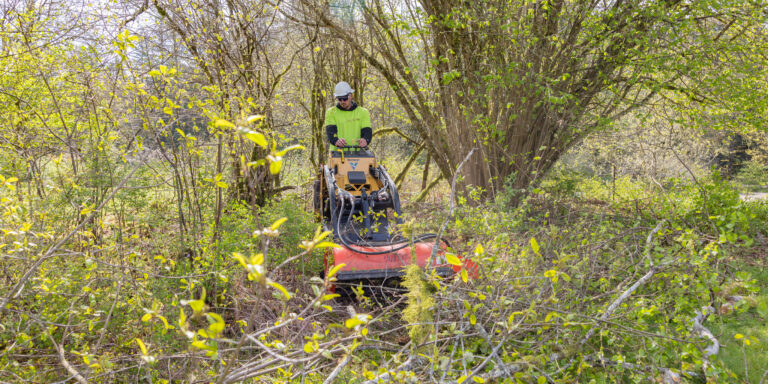 Worker in a hard hat and high-visibility shirt operating a small brush mower in dense spring woodland