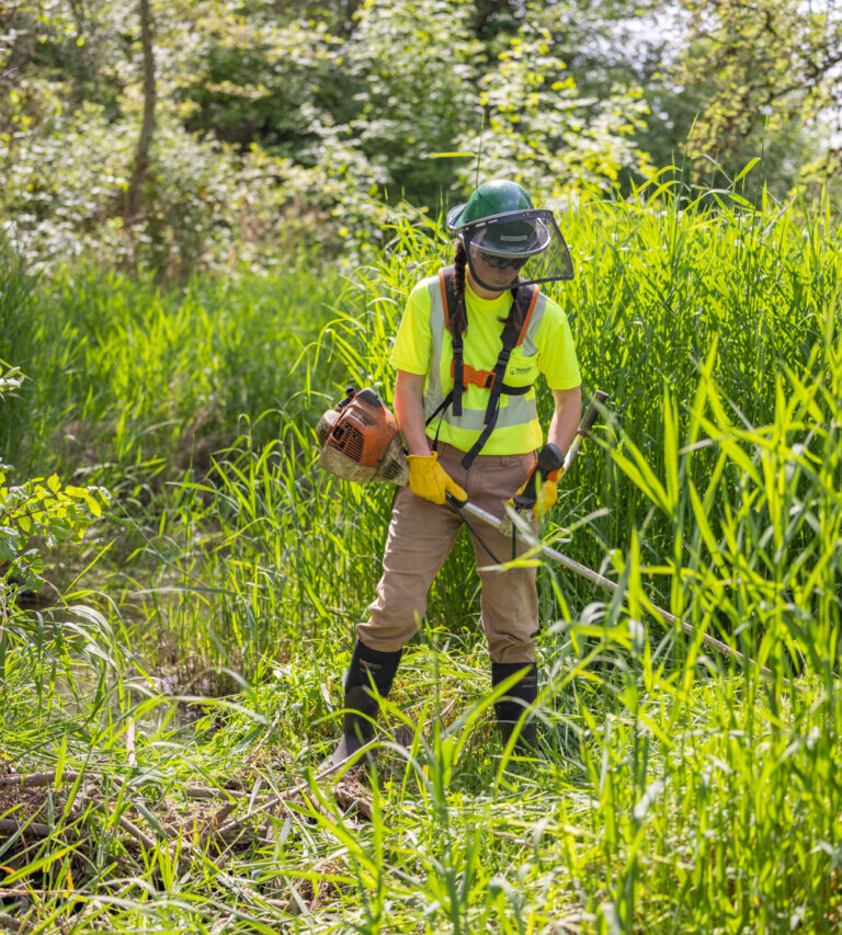 Worker in high-visibility shirt, helmet and face shield using a brush cutter to trim tall grass in a wet, wooded area