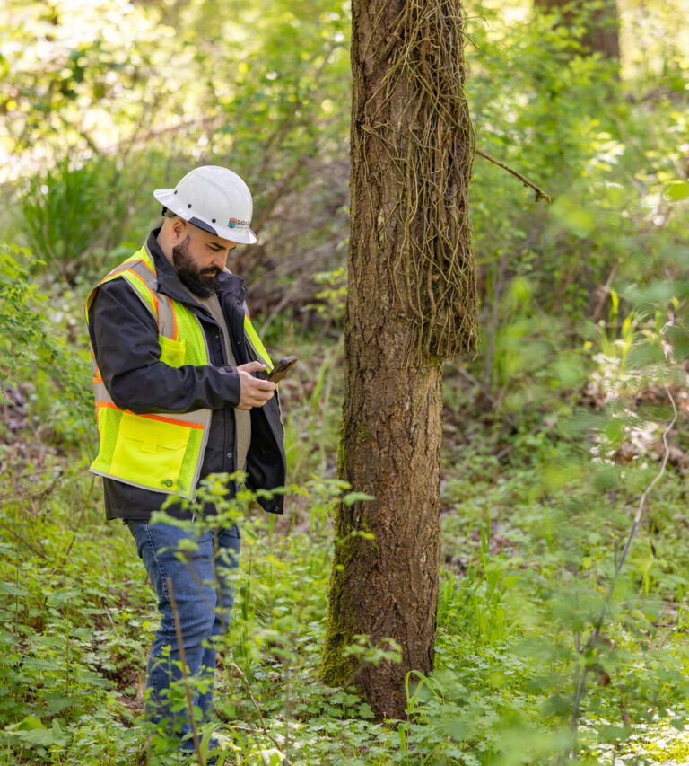 Man in hard hat and neon safety vest standing in green forest beside a tree, looking down at a handheld device