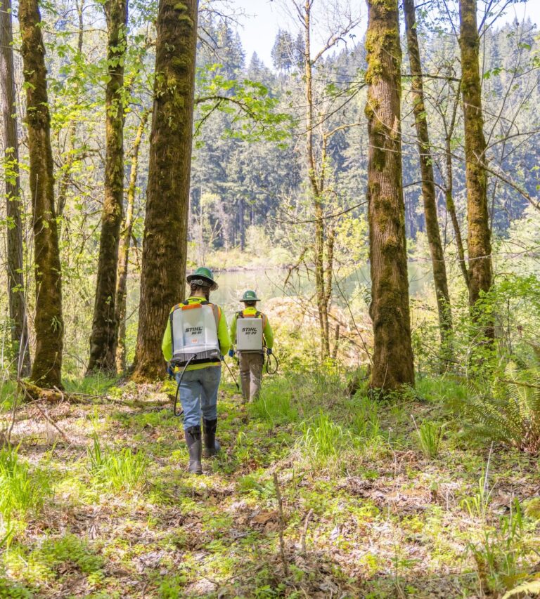 Two forest workers wearing bright safety vests and backpack sprayers walking on a leafy trail toward a river through tall trees