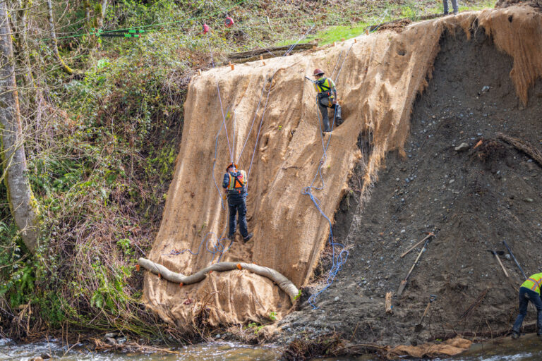 Two workers in safety gear roped to a steep burlap-covered slope installing erosion control beside a stream