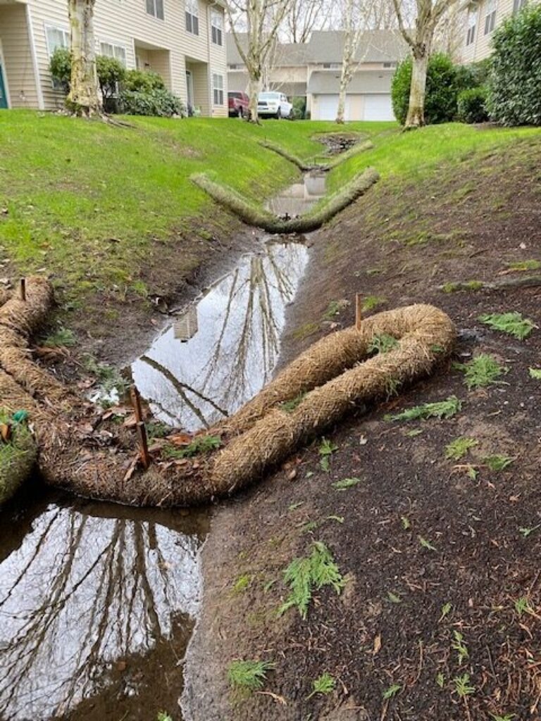 Narrow drainage ditch between townhouses with coir wattles staked along banks and shallow standing water reflecting bare trees