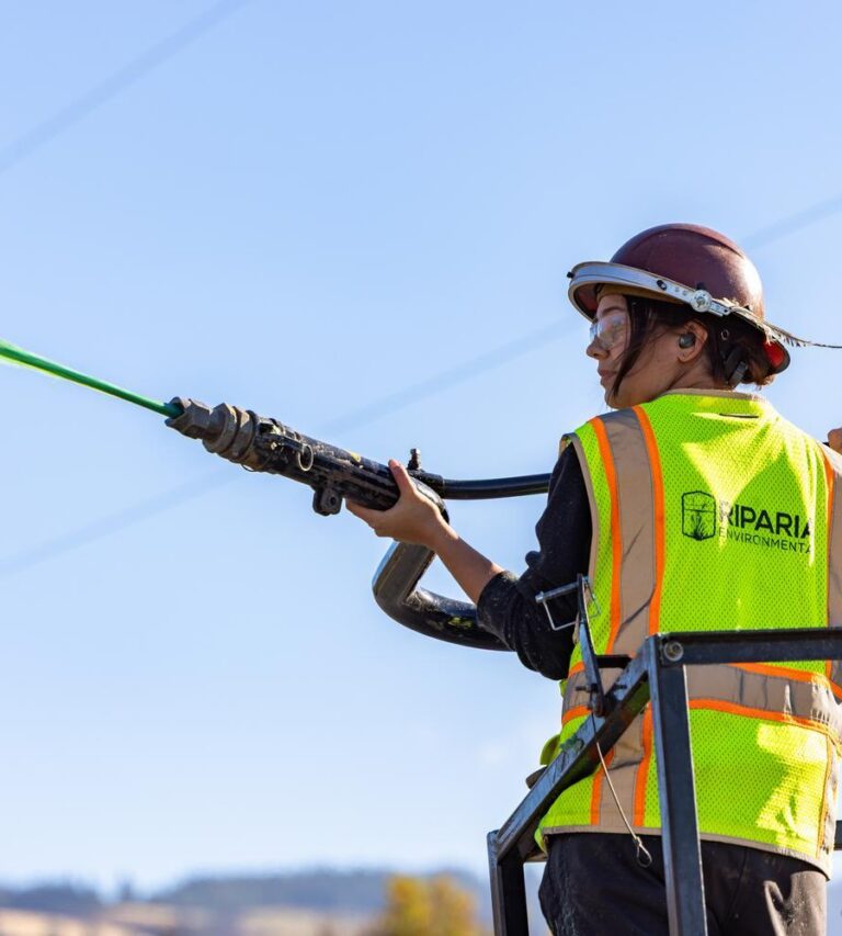 Worker in hard hat and high-visibility vest spraying green liquid from a hose while standing in an elevated work platform