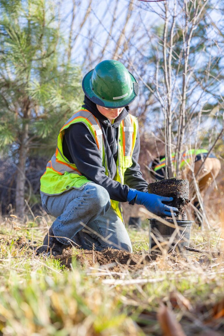 Worker in a green hard hat and reflective vest kneeling outdoors, planting a sapling and holding its root ball over a pot