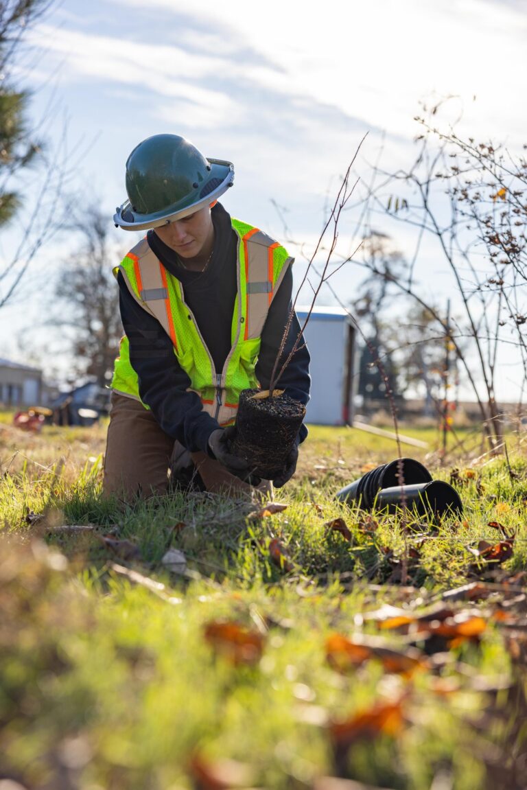Person in safety vest and hard hat kneeling outdoors, holding a small tree seedling with root ball ready for planting