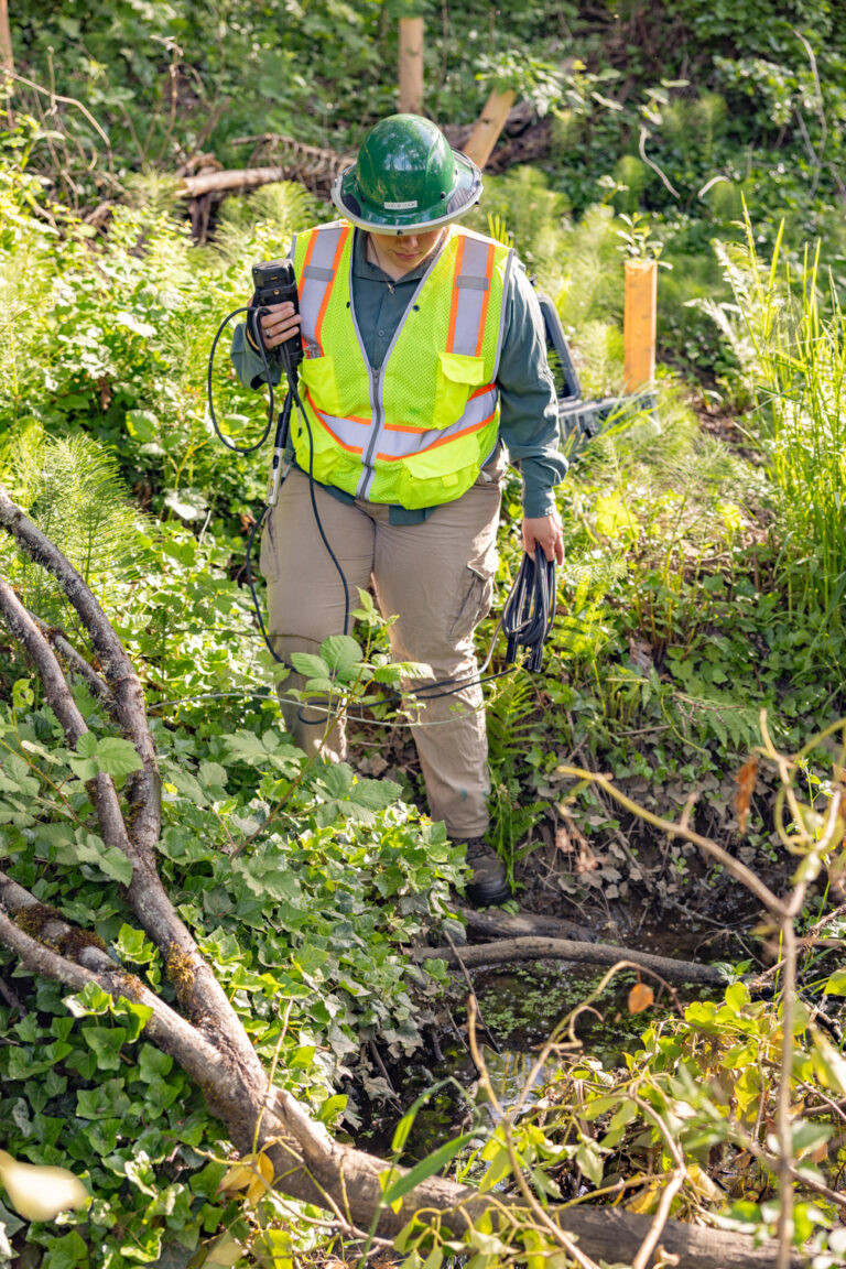 Worker in green hard hat and neon safety vest holding cables while walking through dense green undergrowth near a creek