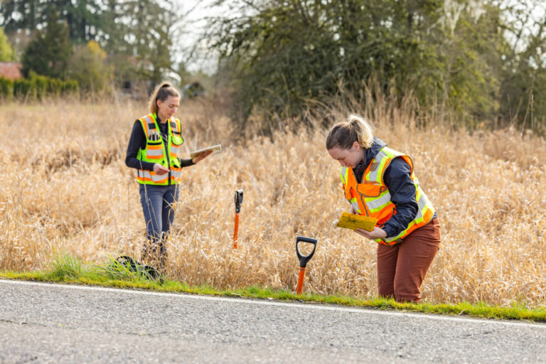 Two people in high-visibility vests taking notes and digging with shovels in a dry grassy field by a road