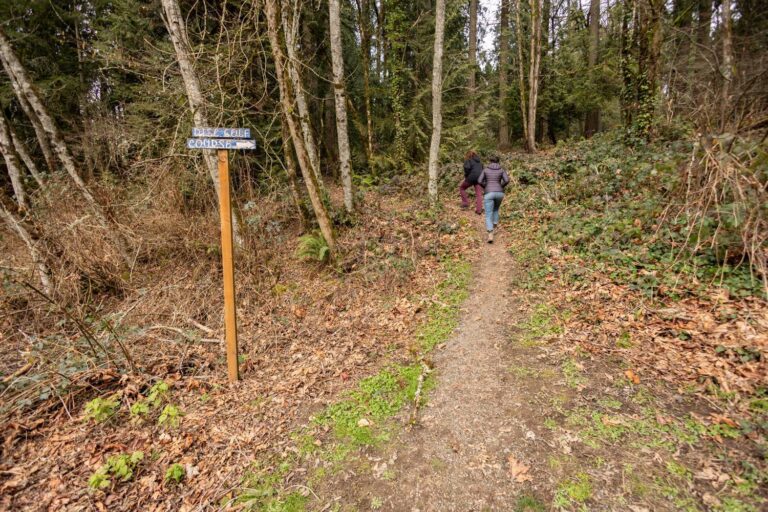 Two people walking up a forest trail past a wooden post with a small "Disc Golf Course" sign.