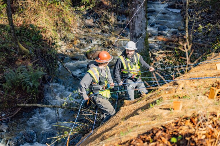 Two construction workers in helmets and harnesses secured by ropes on a steep, vegetated slope above a flowing stream