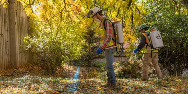 Two workers in safety vests, gloves, and face shields spray a mist from backpack tanks onto a leafy, sunlit yard beneath yellow autumn trees.