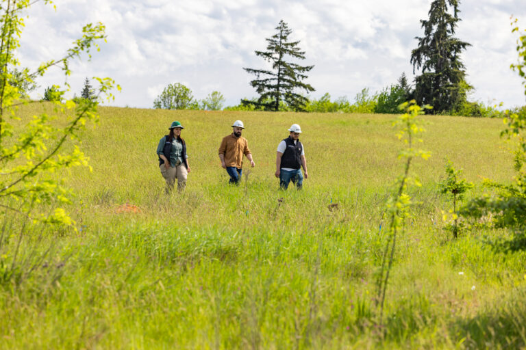 Three people wearing hard hats and field vests walking through a wide grassy meadow with trees in the background.