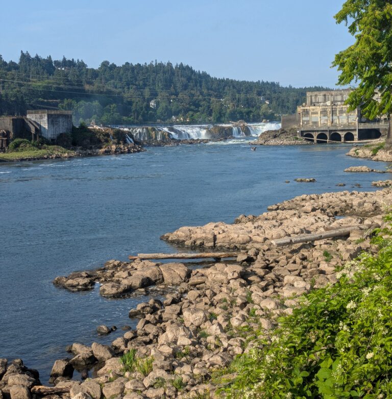 River with rocky shoreline, small boat on water, distant low waterfall and old industrial building under trees