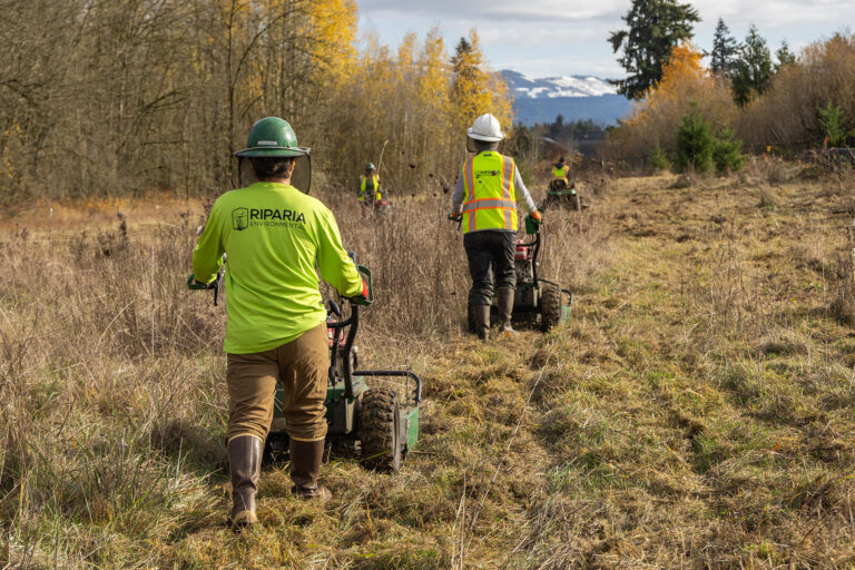 Workers in neon safety gear and hard hats mowing a grassy field with brush cutters toward a line of trees and distant hills