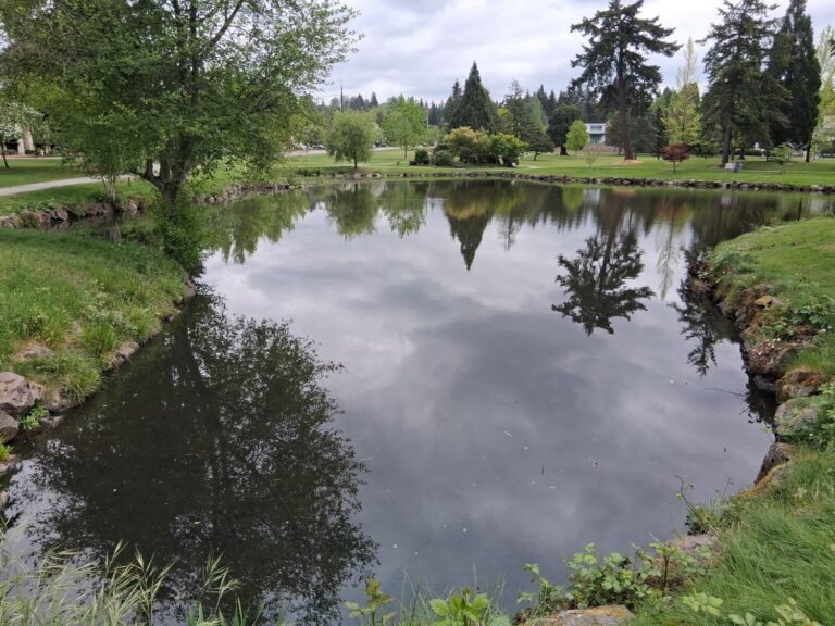 Medina Park Pond Cleanup