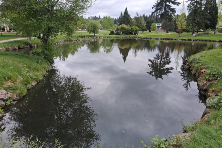 Medina Park Pond Cleanup