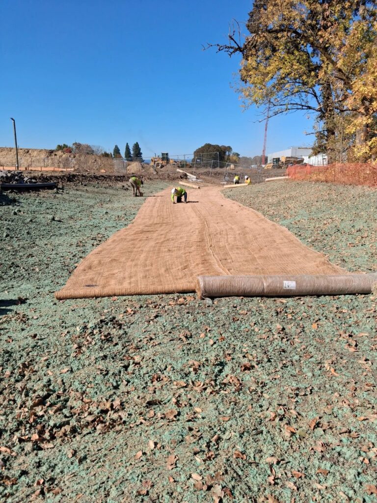 Riparia Environmental used hydroseeding, straw blankets, and jute matting to stabilize a swale