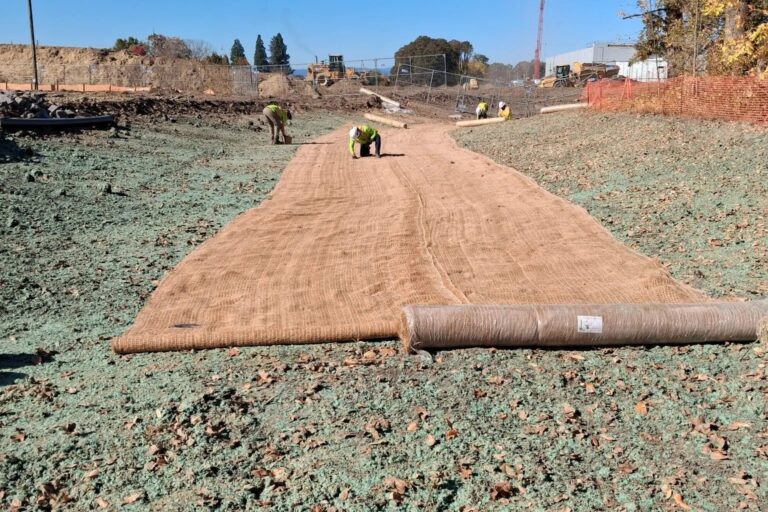 Riparia Environmental used hydroseeding, straw blankets, and jute matting to stabilize a swale